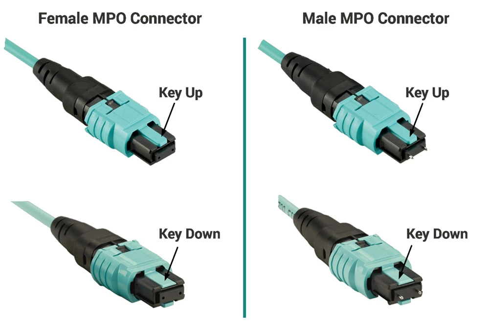 MPO MTP Connector